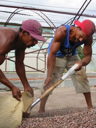 Photo - Fair Trade Chocolate Workers