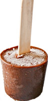Orange Chocolate Ice Cream Sticks